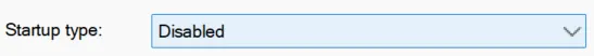 Server startup type option set to "Disabled"